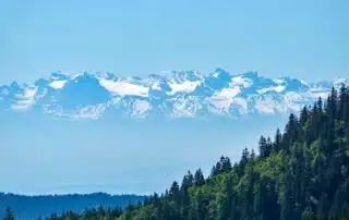 Kann man vom Feldberg die Alpen sehen?