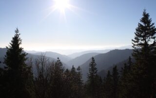 Schwarzwald Blog