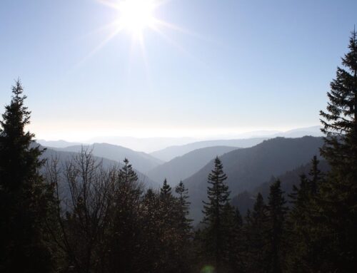 Herzlich willkommen auf unserem Schwarzwald-Blog
