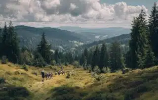 Ferienhaus Schwarzwald für 20 Personen