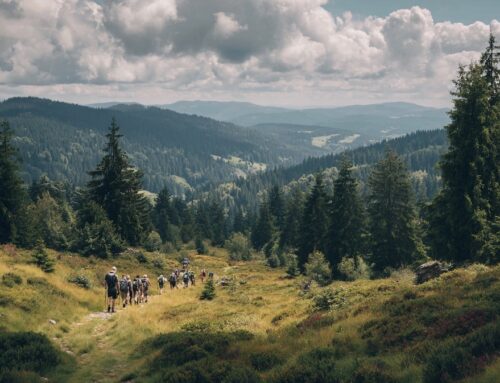 Ferienhaus im Schwarzwald für 20 Personen mieten
