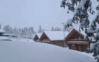 Ferienhauspark im Schwarzwald