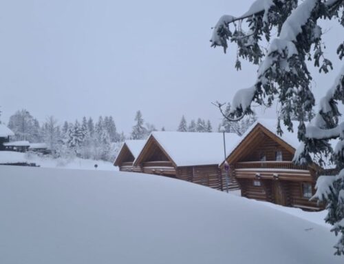 Ferienhauspark im Schwarzwald: Klein, aber exklusiv am Feldberg