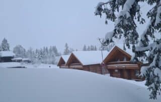 Vakantiepark in het Zwarte Woud