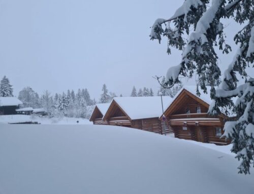 Parc de maisons de vacances en Forêt-Noire : petit, mais exclusif au Feldberg
