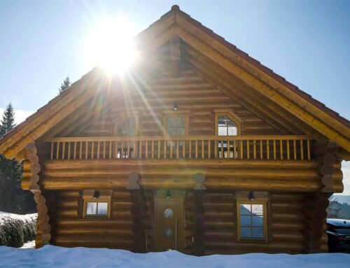 Forêt-Noire Louer une cabane en bois au Feldberg