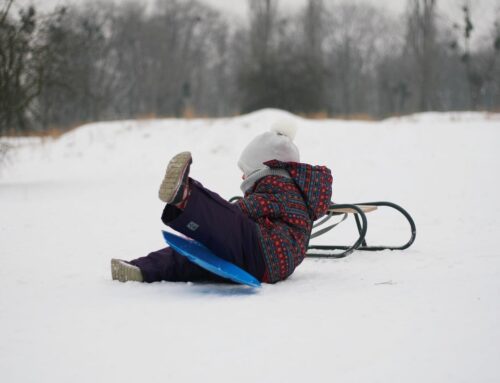 Wintervakantie in het Zwarte Woud met kinderen: De beste tips
