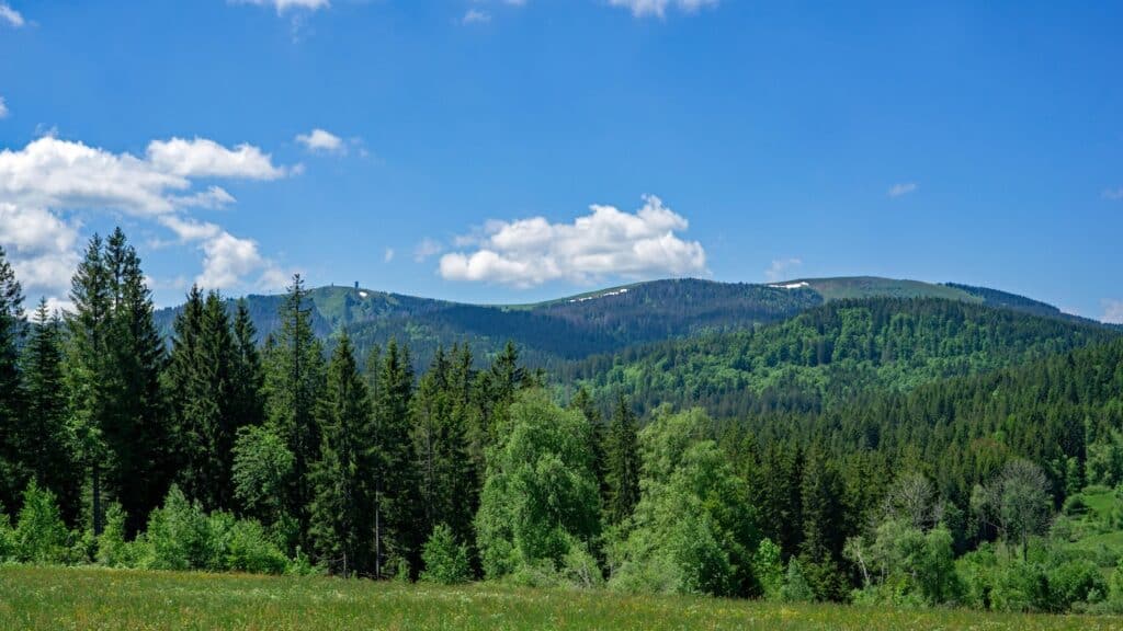 Hoogste berg in het Zwarte Woud