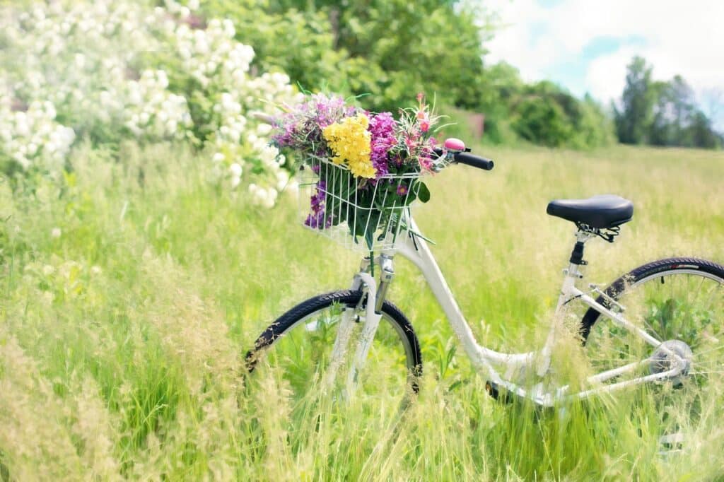 Cycling vacation in the Black Forest