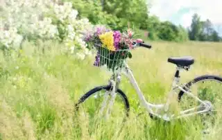 Cycling vacation in the Black Forest