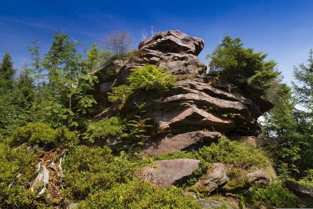 The Black Forest or the Harz Mountains?