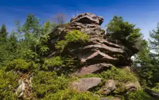 The Black Forest or the Harz Mountains?